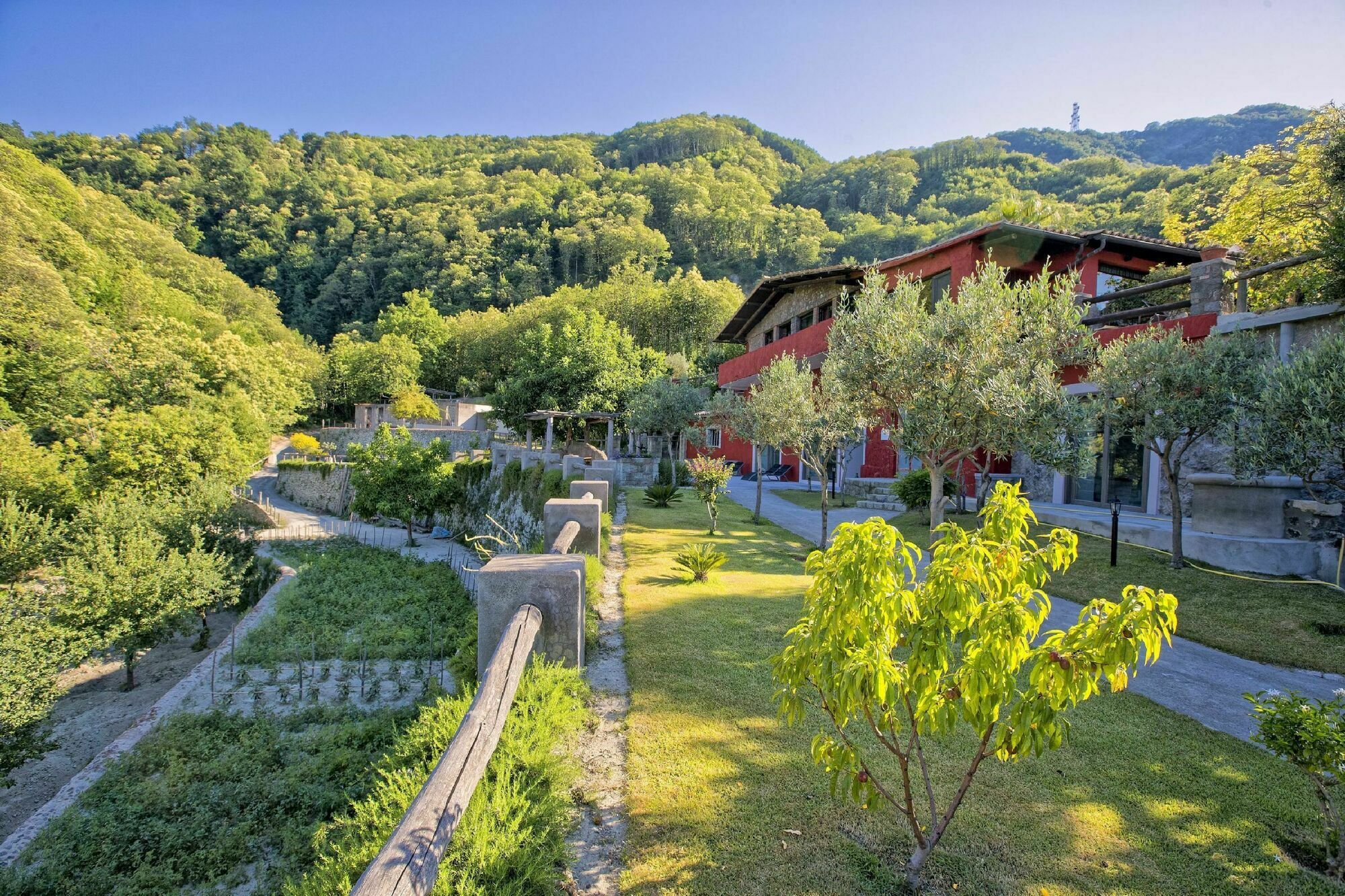 Agriturismo Pera Di Basso Ísquia Exterior foto